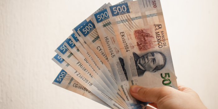 Beneficios de Pedir un Préstamo a una Entidad Autorizada